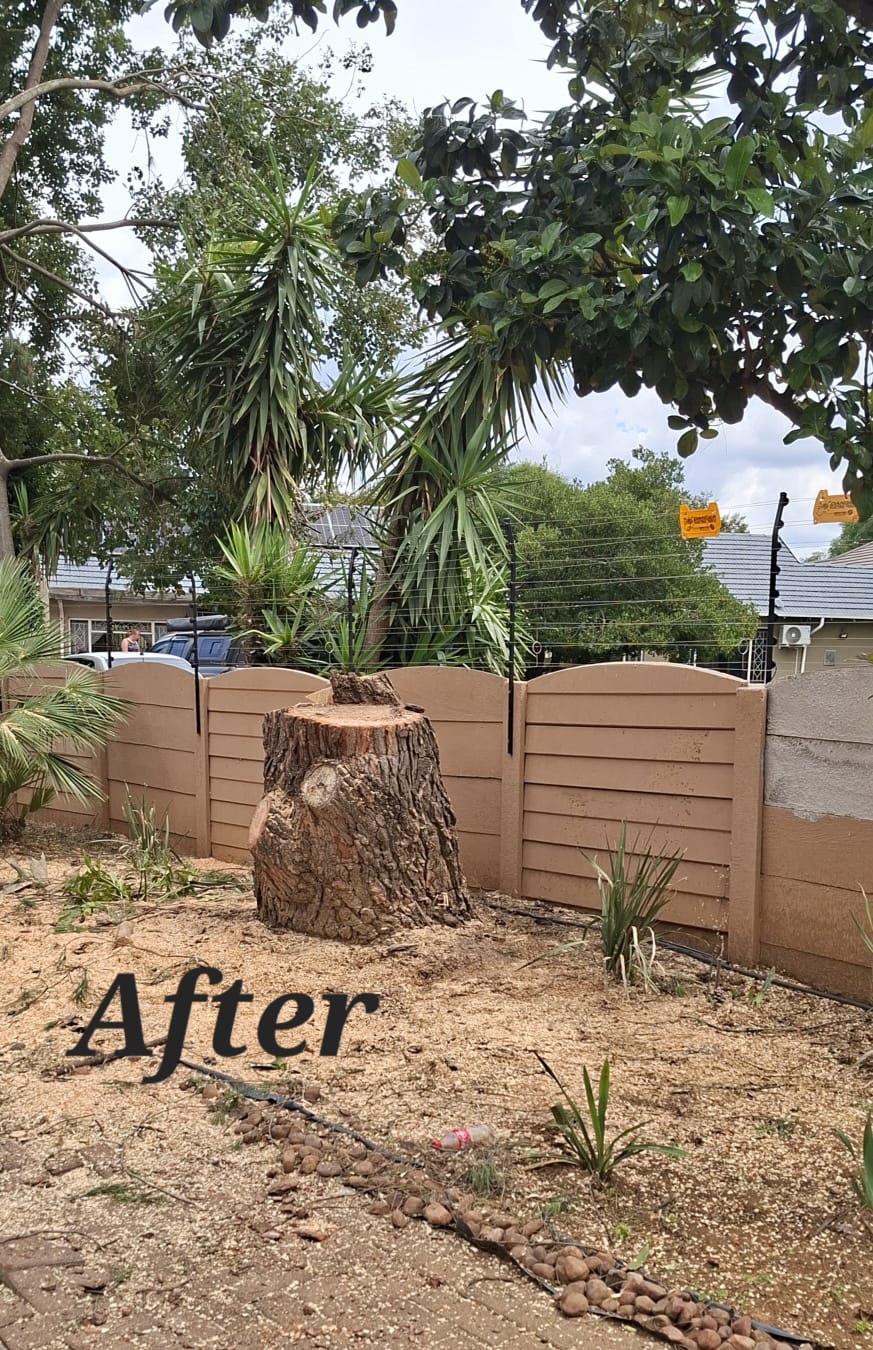 Tree felling confined space