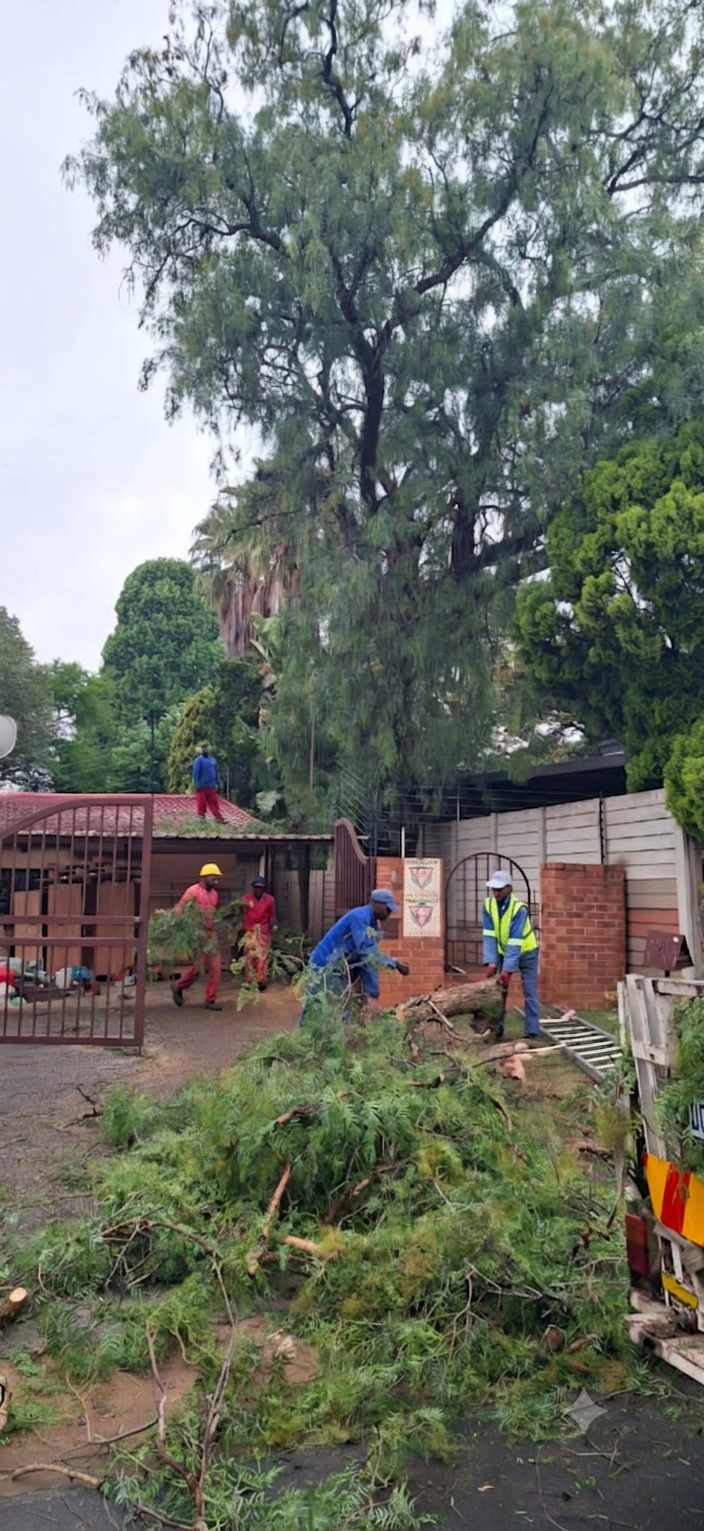 Site Clearing
